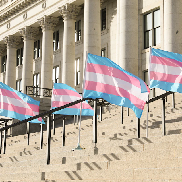 Line of transgender flags lined up the steps of a government building