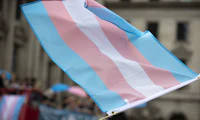 A waving flag with trans colors in the order of blue, pink, white, pink, blue being held by someone we can't see in a crowd in front of a building.